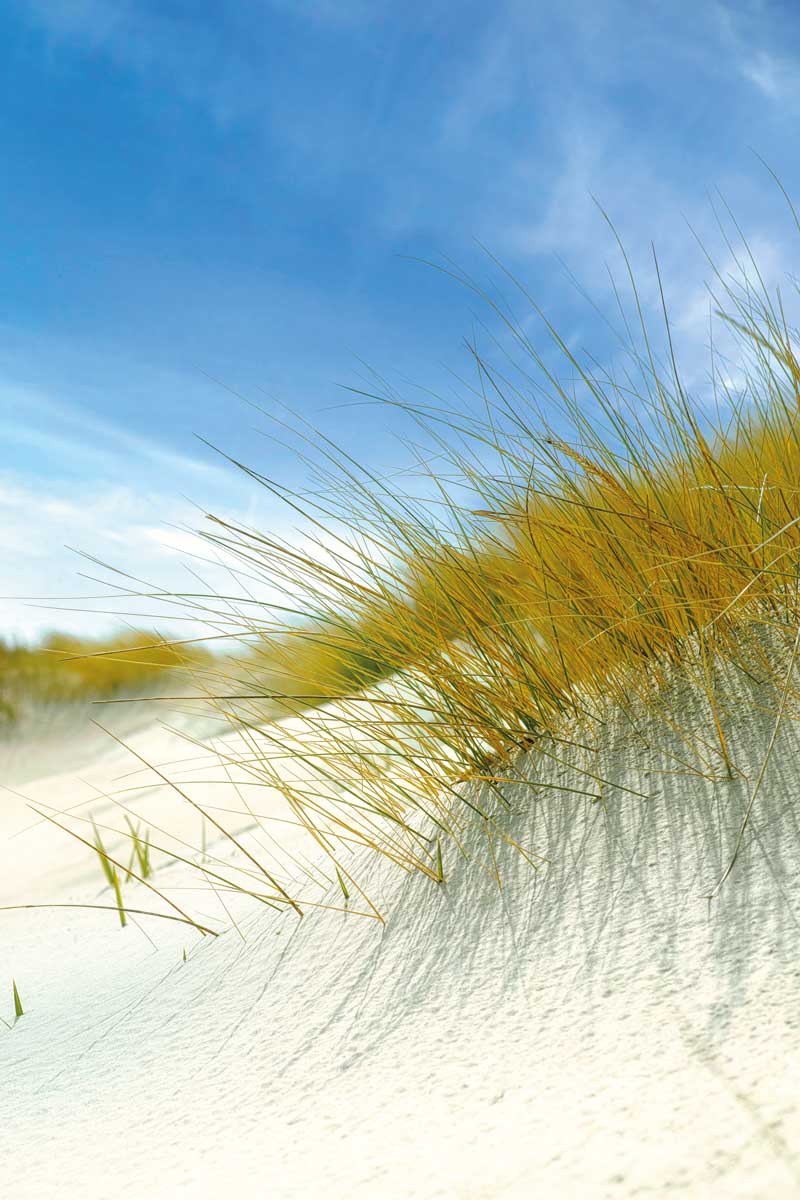 Bilder Für Modernes Wohnzimmer